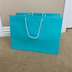 Extra Large Tiffany & Co. Shopping Bag/ Prop